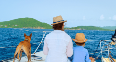 Sailing with a cat or dog: pet-friendly tips