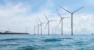 Understanding the Adriatic Winds Before You Sail