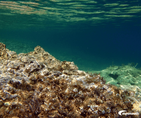 diving-croatia-sea