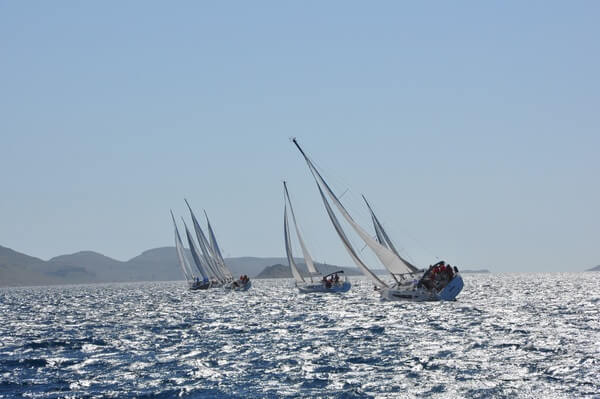 regatta-sailing-sea